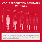 NATURE TARGET CoQ10-300mg-Softgels + PQQ with Organic-Olive-Oil - High Absorption-Coenzyme-Q10 - Antioxidant-for-Heart-Health and Immune Support, Energy Production, 120 Servings