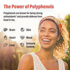 Sihat Sejahtera 67,500 MG Polyphenols Supplement - Powerful Antioxidants & Polyphenol for Age Defense, Polyphenol Superfood, Quercetin, Resveratrol, Plant-Based & Energy, Immune Support, 90 Capsules