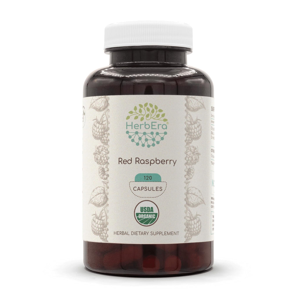 HerbEra USDA Organic Red Raspberry Leaf Capsules – Women's Wellness Support, Rubus Idaeus Dried Leaf, Daily Wellness Capsules, Vegan, Herbal Supplement (120 Capsules)