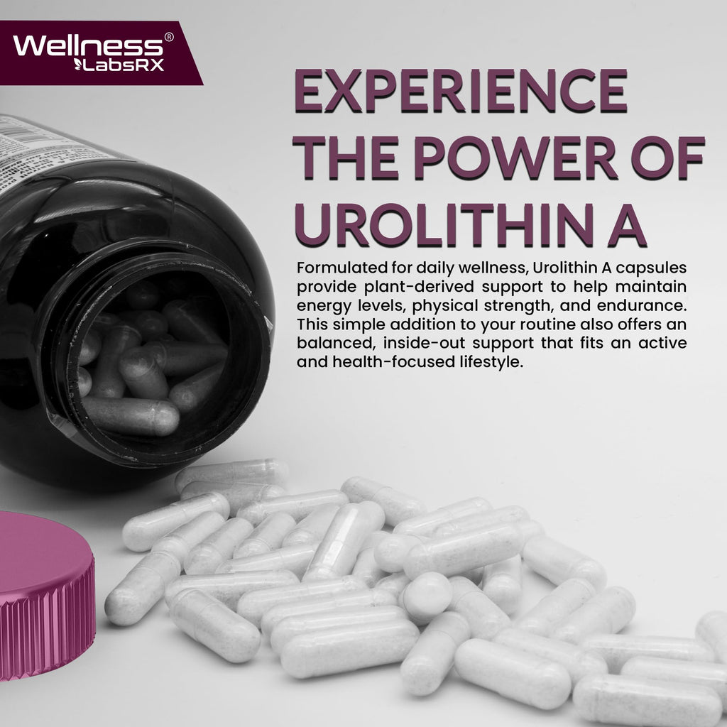 Liposomal Urolithin A Supplement Capsules 1,000mg - Urolithin A+ Supplement for Cellular Renewal & Mitochondrial Support, Ultra-Strength Muscle Health - Third-Party Tested 120 Capsules - Made in USA