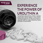 Liposomal Urolithin A Supplement Capsules 1,000mg - Urolithin A+ Supplement for Cellular Renewal & Mitochondrial Support, Ultra-Strength Muscle Health - Third-Party Tested 240 Capsules - Made in USA