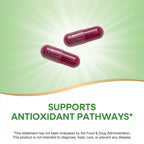 Nature's Way Beet Root Capsules,Supports Antioxidant Pathways*,Helps Neutralize Free Radicals*,1000 mg per 2-Capsule Serving,Vegan,(Packaging May Vary),320 Count (Pack of 2)