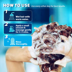 Swiftalyn Scalp Ance Shampoo for Men & Women – Sulfate-Free Formula