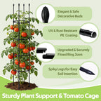 2 Pack Tomato Cages for Garden - Heavy Duty Tomato Trellis for Climbing Plants Outdoor & Indoor - 63 Inch Adjustable Tall Plant Cage & Support Garden Stakes for Pots Vegetables Flowers Fruits Vines