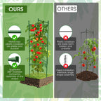 MQHUAYU 6 Pack Tomato Cage,Tomato Cage for Raised Garden Bed, 48'' Tall Tomato TrellisTriangle or Square Cages for Garden,Pots, Plant Cages & Supports（Green, Extra Bold ）