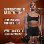 Jacked Factory Burn-XT Clinically Studied Fat Burner & Weight Loss Supplement - Appetite Suppressant & Energy Booster - with Acetyl L-Carnitine, Green Tea Extract and More - 120 Natural Diet Pills
