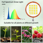 FECOLGT Grow Light for Indoor Plants, Full Spectrum Floor Plant Lamp with Convex Lens, Timer 6/12/18H, Faux Walnut Wood Grain, 12-57 inches Height Adjustable Desktop and Standing Growing Light
