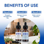 TakTuqa Detox’d Paratox Gut Cleanse & Detox - Herbal Liquid Drops with Black Walnut, Wormwood, Clove & Oregano for Digestive Balance, Energy Boost & Immune Support(1pc)