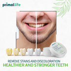 Primal Life Organics - Dirty Mouth Toothpowder, Tooth Cleaning Powder, Flavored Essential Oils with Natural Kaolin & Bentonite Clay, Good for 200+ Brushings, Organic, Vegan (Sweet Spearmint, 1 oz)