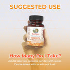 MaryRuth Organics Probiotic Turmeric + Extra GI Support | 62 Billion CFU | Organic Ingredients Turmeric Complex with Probiotics | Turmeric Curcumin Capsules for Digestion | Vegan | 60 Count