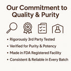 LIRAE Ceylon Cinnamon - 300 Softgels 7200mg Equivalent with MCT Oil – Highly Bioavailable Herbal Supplement Made with True Ceylon Cinnamon – Non-GMO, Gluten Free – Gentle Daily Support (1)