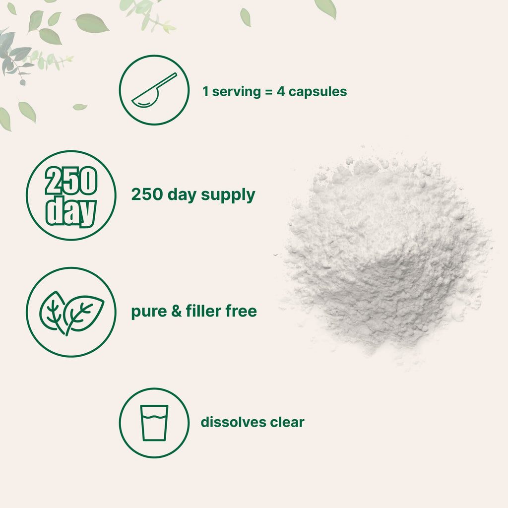 Micro Ingredients L Serine Powder, 500 Grams (250 Day Supply)