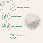 Micro Ingredients L Serine Powder, 500 Grams (250 Day Supply)