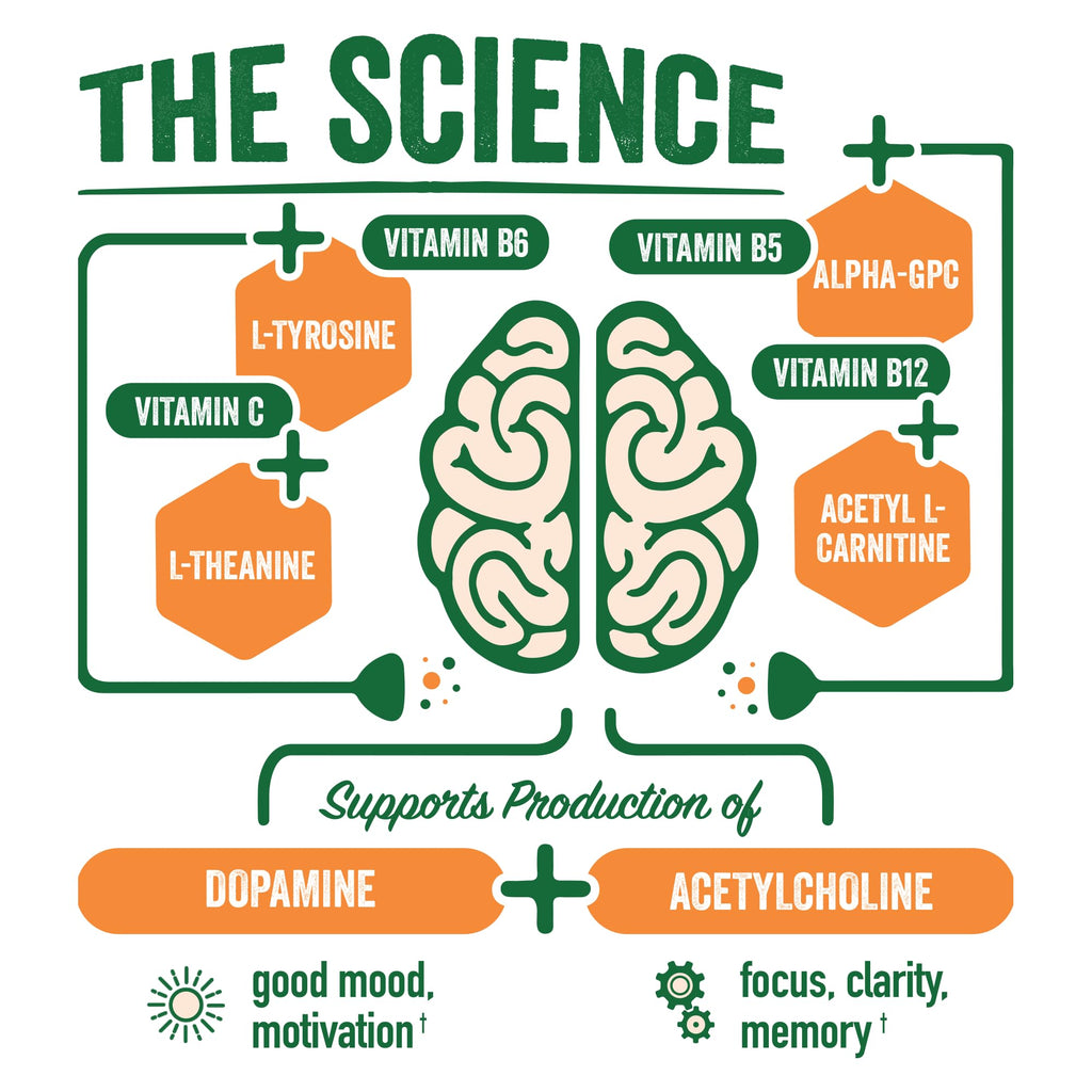 BrainJuice Nootropics Brain Support Supplement, Gluten Free Powder for Energy and Focus, Drink Mix with L Theanine, Alpha GPC, Vitamin B, Organic Green Tea Extract (Active Pomegranate Acai)