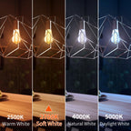 Decoaui E26 ST64 Vintage Edison Light Bulbs, Smoky Grey Coated Glass, Dimmable, 4W(20W Equivalent) 150 Lumens, 2700K Soft White, Spiral Filaments Design, Antique Style, 25000 Hrs, 6-Pack