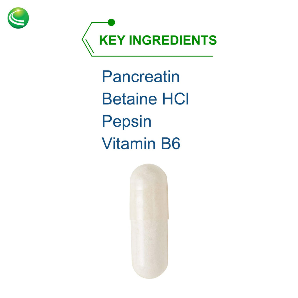 Nutra Biogenesis PanZyme - Betaine HCL with Pepsin, Pancreatin, Lipase and Protease, Cellular Energy, Nervous System and Metabolic Health Support - 180 Capsules