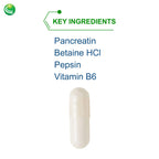 Nutra Biogenesis PanZyme - Betaine HCL with Pepsin, Pancreatin, Lipase and Protease, Cellular Energy, Nervous System and Metabolic Health Support - 180 Capsules