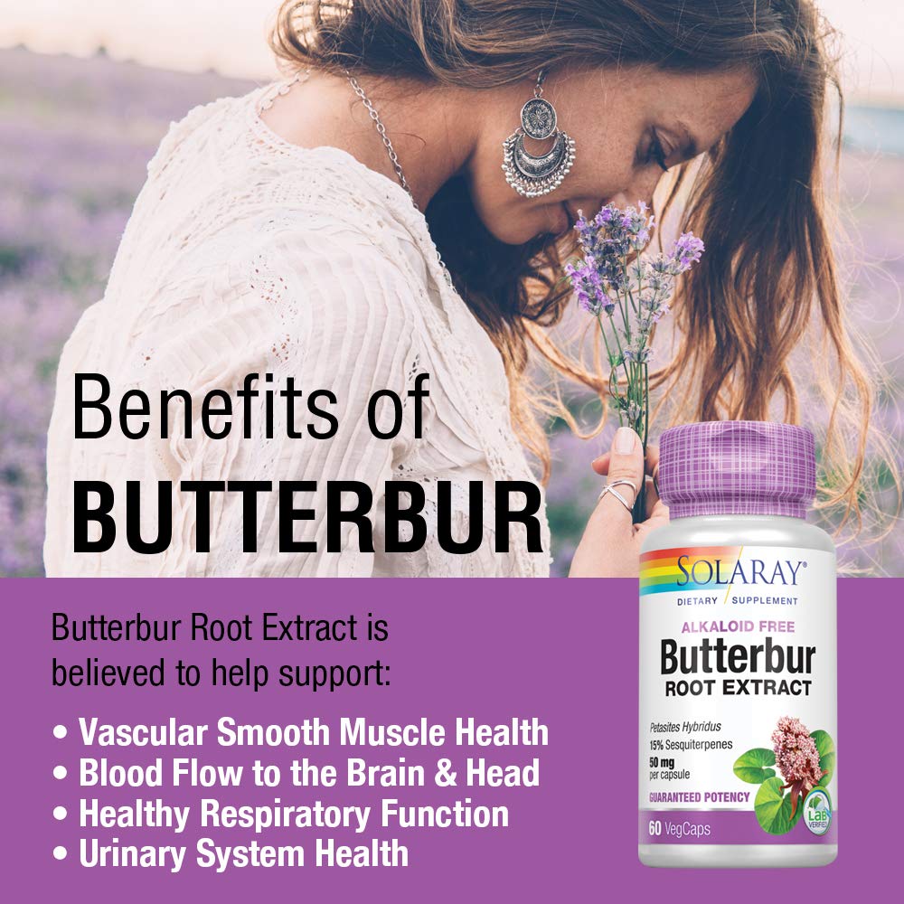 SOLARAY Butterbur Root Extract 50 mg Supplement for Men & Women - Powerful Herbal Support, Vegan Butterbur Capsules - 60 Veg Caps