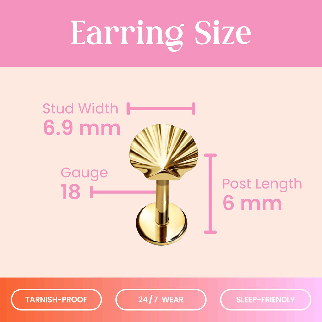 Cords Club Shell Flat Back Stud- Hypoallergenic Titanium Women's Earring