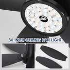 Surtime 42" Ceiling Fans with Lights-Low Profile Ceiling Fan with Light and Remote Control,Flush Mount,DC Reversible,LED Dimmable Blakc Ceiling Fans for Bedroom,Indoor/Outdoor Patio Use
