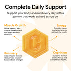 Create Creatine Monohydrate Gummies for Men & Women, Boost Focus, Strength, and Endurance, Anti-Melting Formula, Vegan, Gluten-Free, Non-GMO, 1.5g of Creatine per Gummy (Orange)