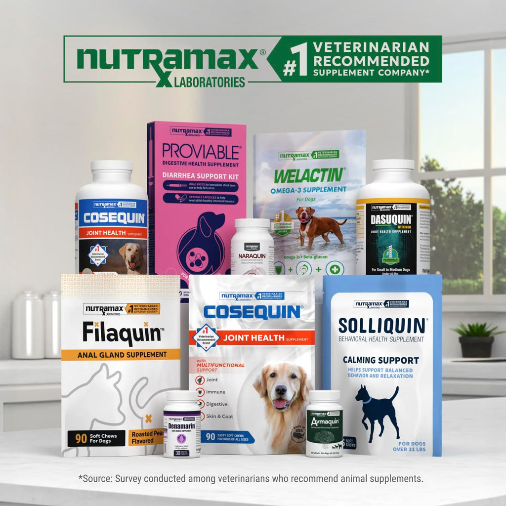 Nutramax Dasuquin MSM Joint Supplement, Small/Med Dogs, Soft Chews, 84ct