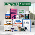 Nutramax Dasuquin MSM Joint Supplement, Small/Med Dogs, Soft Chews, 84ct
