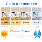 Energetic 60W Equivalent, A19 LED Light Bulb, 5000K Daylight, E26 Medium Base, Non-Dimmable LED Light Bulb, 8W 760lm, ETL Listed 4 Pack
