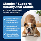 Vetnique Glandex for Dogs Anal Glands Supplement Powder Digestive Health with Fiber, Pumpkin, Digestive Enzymes & Dog Probiotics - Boot the Scoot (2.5oz Powder, Beef Liver)