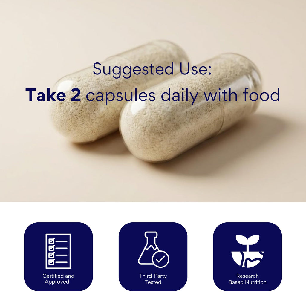 Research Verified Brain Booster - Brain Supplement for Memory and Focus, Nootropic Supplement for Cognitive Support - 180 Vegan Capsules - 3 Bottles