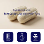 Research Verified Brain Booster - Brain Supplement for Memory and Focus, Nootropic Supplement for Cognitive Support - 180 Vegan Capsules - 3 Bottles