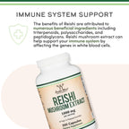 Reishi Mushroom Capsules (4:1 Ganoderma Extract, 1,000mg Red Reishi Powder Servings) 300 Count, 5 Month Supply, Potent Mushroom Supplement for Immune System Support and Defense by Double Wood