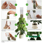 12 Inch Self Watering Moss Pole for Climbing Plants, D Shaped & Stackable