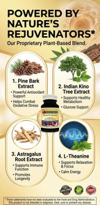 Healthy Habits StemCell Maxum - Plant-Based Support Supplement, 60 Veg Caps