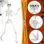 SHOCOSTO Skeleton Halloween Decor,3Ft Life Size Skeleton Full Body Plastic Human Bones for Halloween Decoration