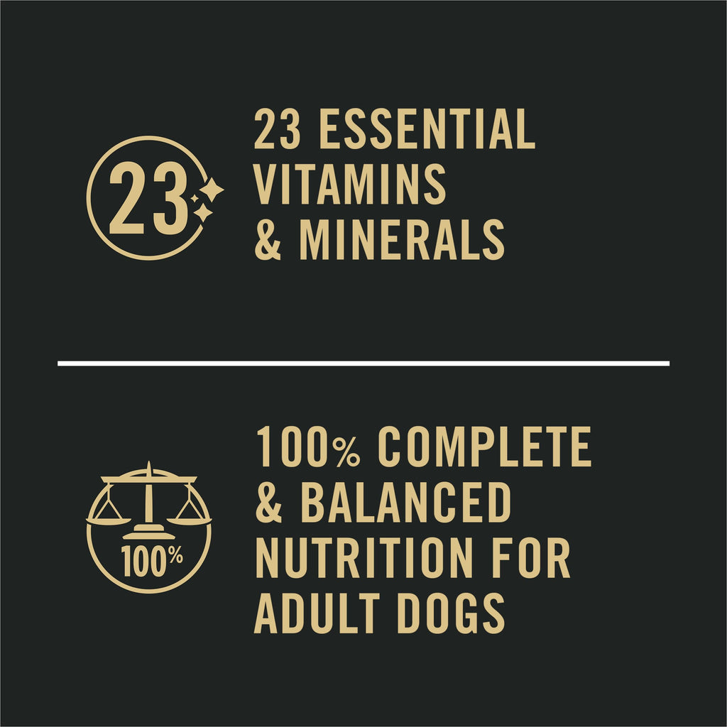 Purina Pro Plan Sensitive Skin & Stomach Wet Dog Food, Salmon, (12) 13 oz