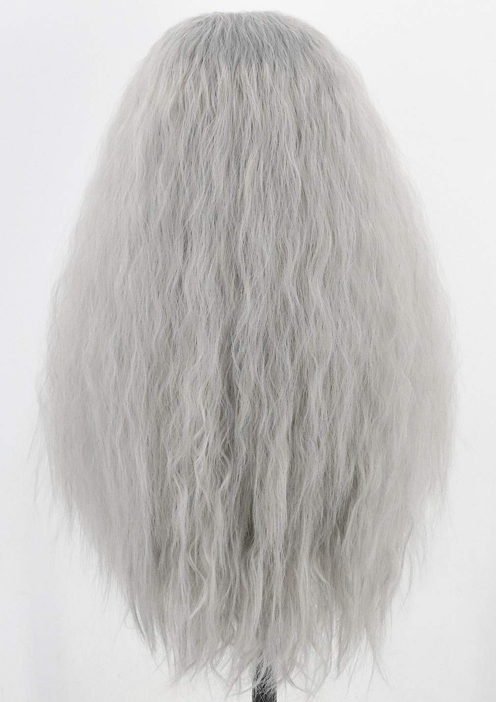 Topcosplay Men Wigs and Beard Set Long Gray Cosplay Halloween Costume Party Wizard Wig