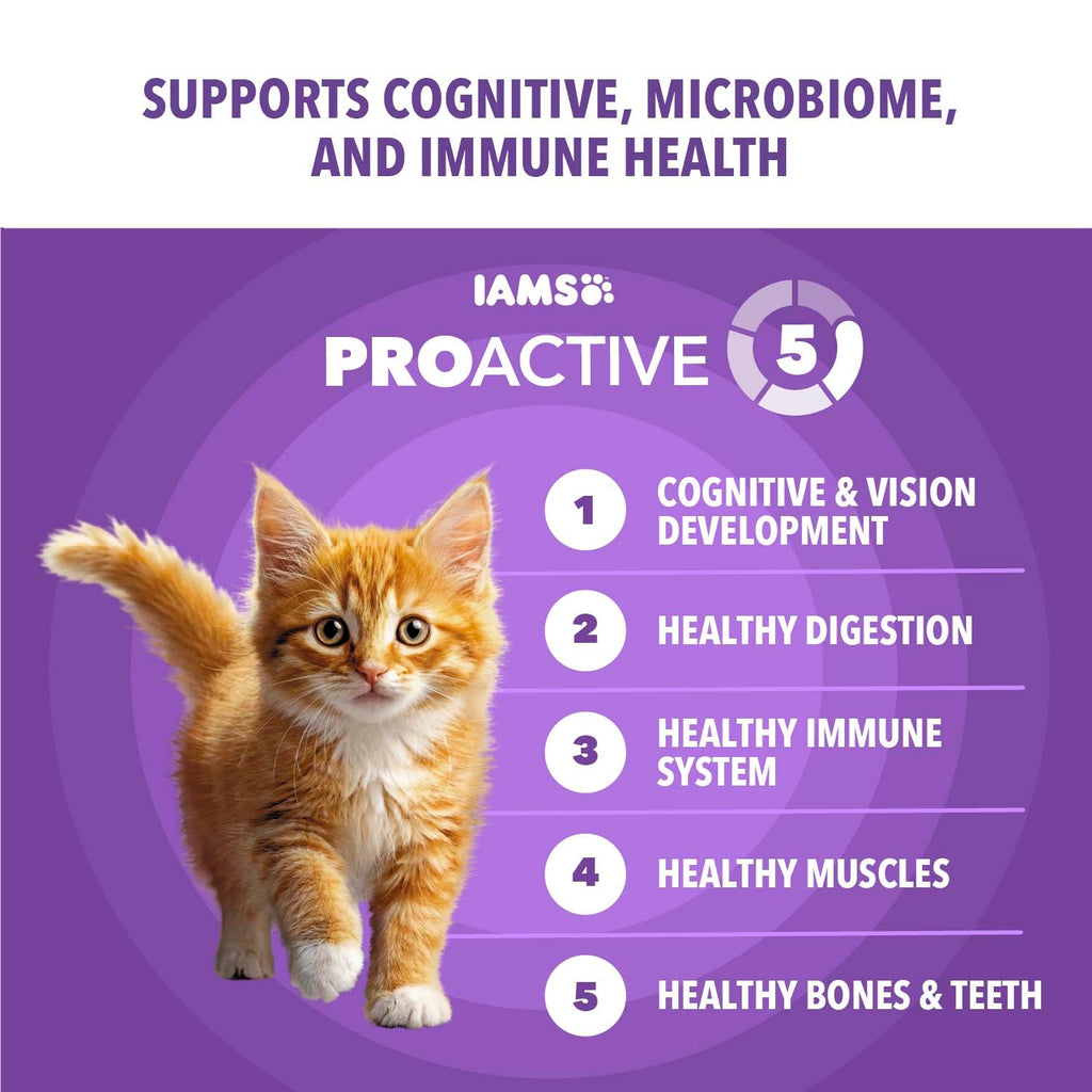 IAMS Proactive Health Healthy Kitten Dry Cat Food, Chicken, 16 lb