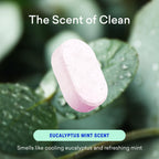 BLUELAND Bathroom Cleaner, 10-Pack Refill, Eucalyptus Mint Scent, Eco-Friendly Cleaning Supplies, 10x 24 Fl oz