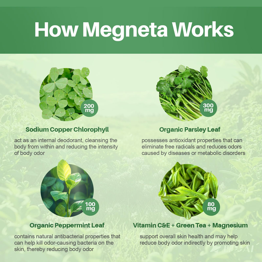 MEGNETA Body Deodorizing Supplement, Natural Internal Odor Control Pills for Men & Women, Chlorophyll Capsules for Skin, Breath and Gut Health (60 Capsules)