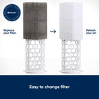 BLUEAIR Genuine 411 Series Air Purifier Replacement Filter, Everyday