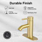 Brushed Gold Bathroom Faucets, Modern Single Hole Lavatory Vanity Faucet, Single Handle Bathroom Sink,Faucet, Faucet for Bathroom Sink with Deck Plate and Supply Hoses