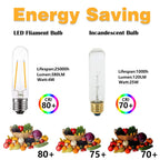 T10 Edison LED Tube Bulbs - Warm White, 2700K, Dimmable - Vintage Style, 4W Equivalent to 40W Incandescent, E26 Base, 3 Pack for Pendant Lights & Desk Lamps