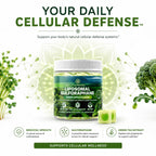 Liposmal Sulforaphane Gummies - Broccoli Sprouts Extract 755mg Total with Myrosinase, Glucoraphanin, and Green Tea Extract | Broccoli Sprout Supplement for Antioxidant, Detox & Cellular Health