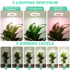 LORDEM 10" Grow Light for Indoor Plants, Full Spectrum Plant Lamp with 160 LEDs, 4H/8H/12H Timer, 6 Dimmable Levels, 3 Spectrum Modes, Height Adjustable 65", Ideal for Growing Large Tall Plants