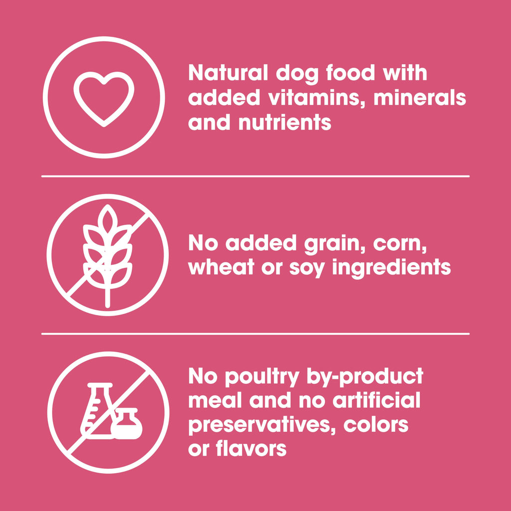 Nature's Recipe Grain Free Salmon Dry Dog Food, 24 lb. Bag