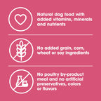 Nature's Recipe Grain Free Salmon Dry Dog Food, 24 lb. Bag