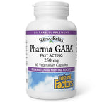 Natural Factors Pharma GABA - Dietary Supplement Supports Calm Sleep & Sleep Quality - Natural, Fast-Working Supplement Aids Focus & Brain Health - 60 Chewable Tablets (60 Servings)