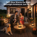 NFEVER Solar Lanterns Outdoor Waterproof: 4 Pack Hanging Solar Lights for Outside Patio Porch Garden Tabletop Decor - Bright LED Warm White Solar Powered Lighting - Unique Gardening Lovers Mom Gifts