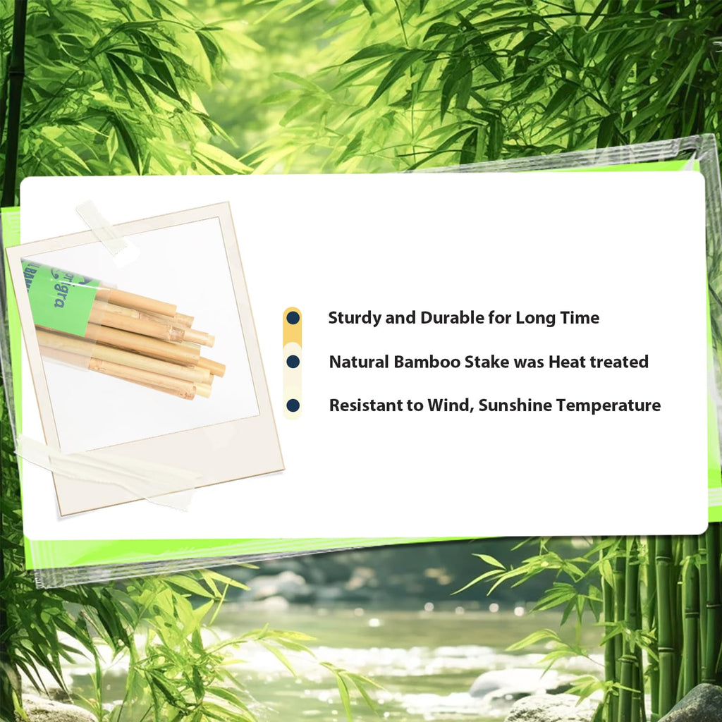 Sprigra Bamboo Stakes 3FT 30pcs, 36 inch Garden Stakes Multi-Purpose, Bamboo Plant Support Stakes for Tomatoes, Beans, Peppers, Flowers, Potted, Maintain the Plant Posture, Strengthen and Stem